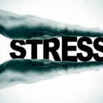 Stress and Probate