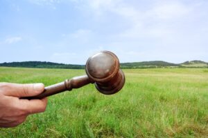 wooden gavel in a hand on the land background